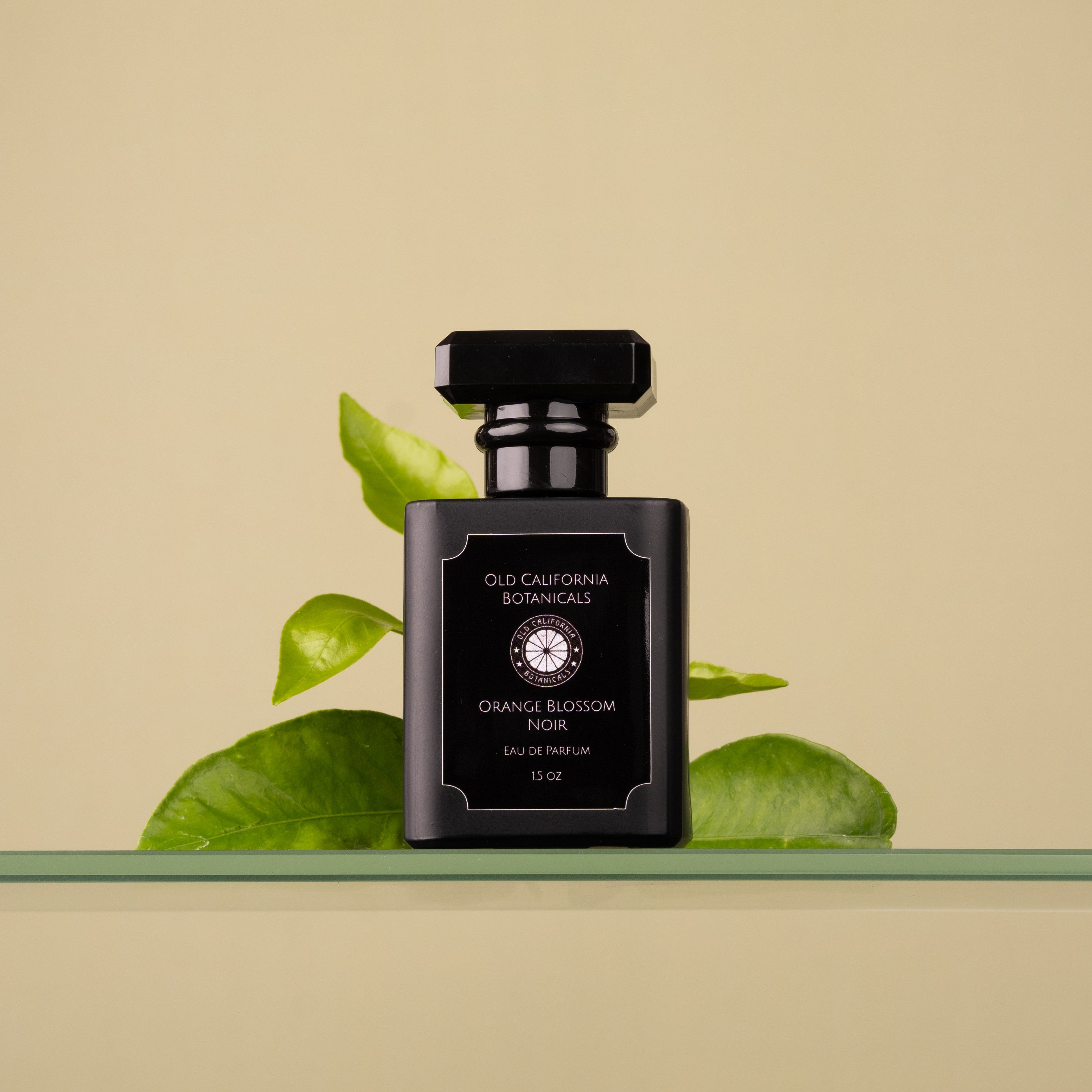 Orange Blossom Noir Perfume | Old California Botanicals