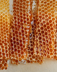 Seasonal California Botanical Lip Balm Club Subscription – natural beeswax honeycomb close-up – Old California Botanicals