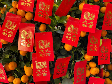 Lunar New Year Gifting: Oranges, Tangerines & Sweet Abundance