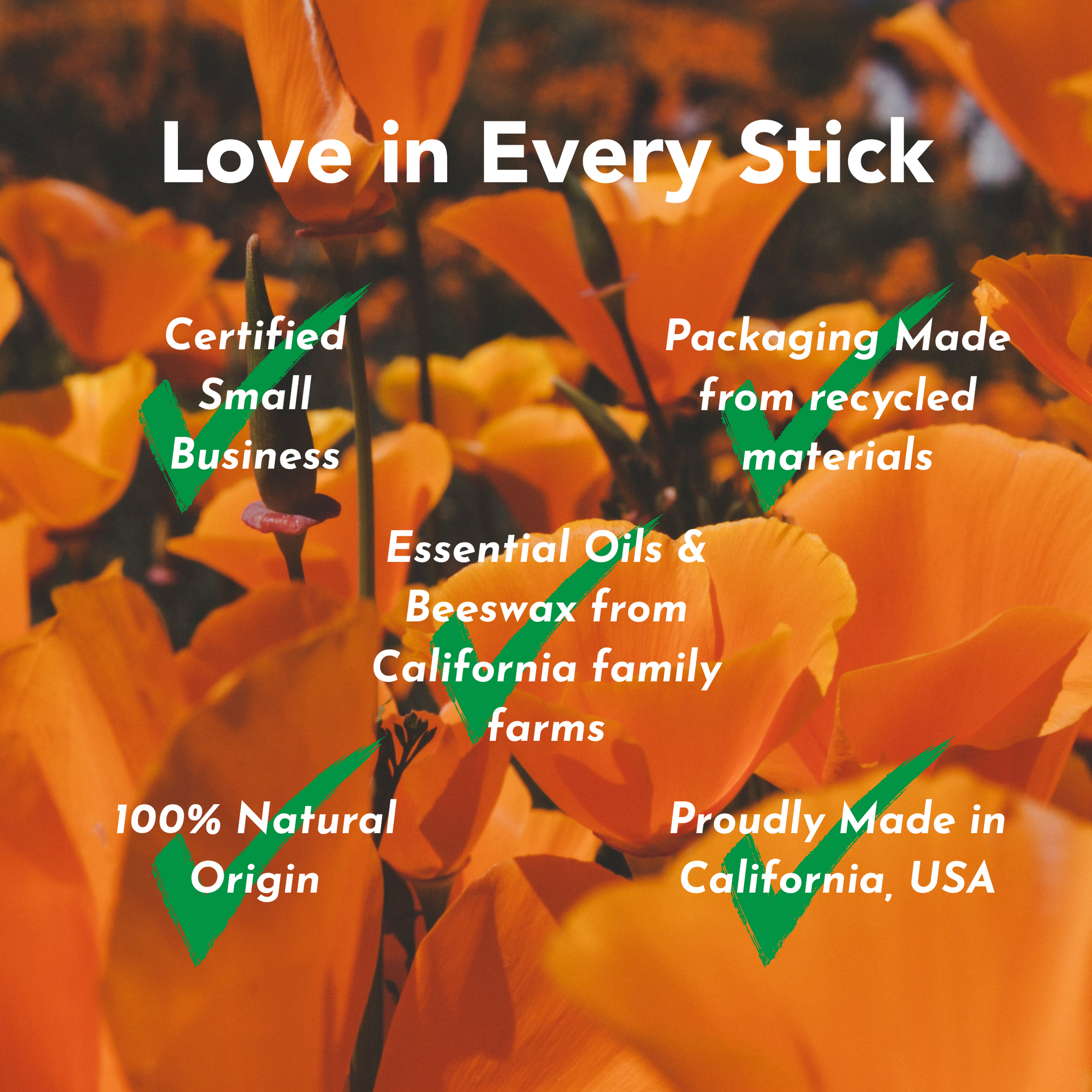 Seasonal California Botanical Lip Balm Club Subscription