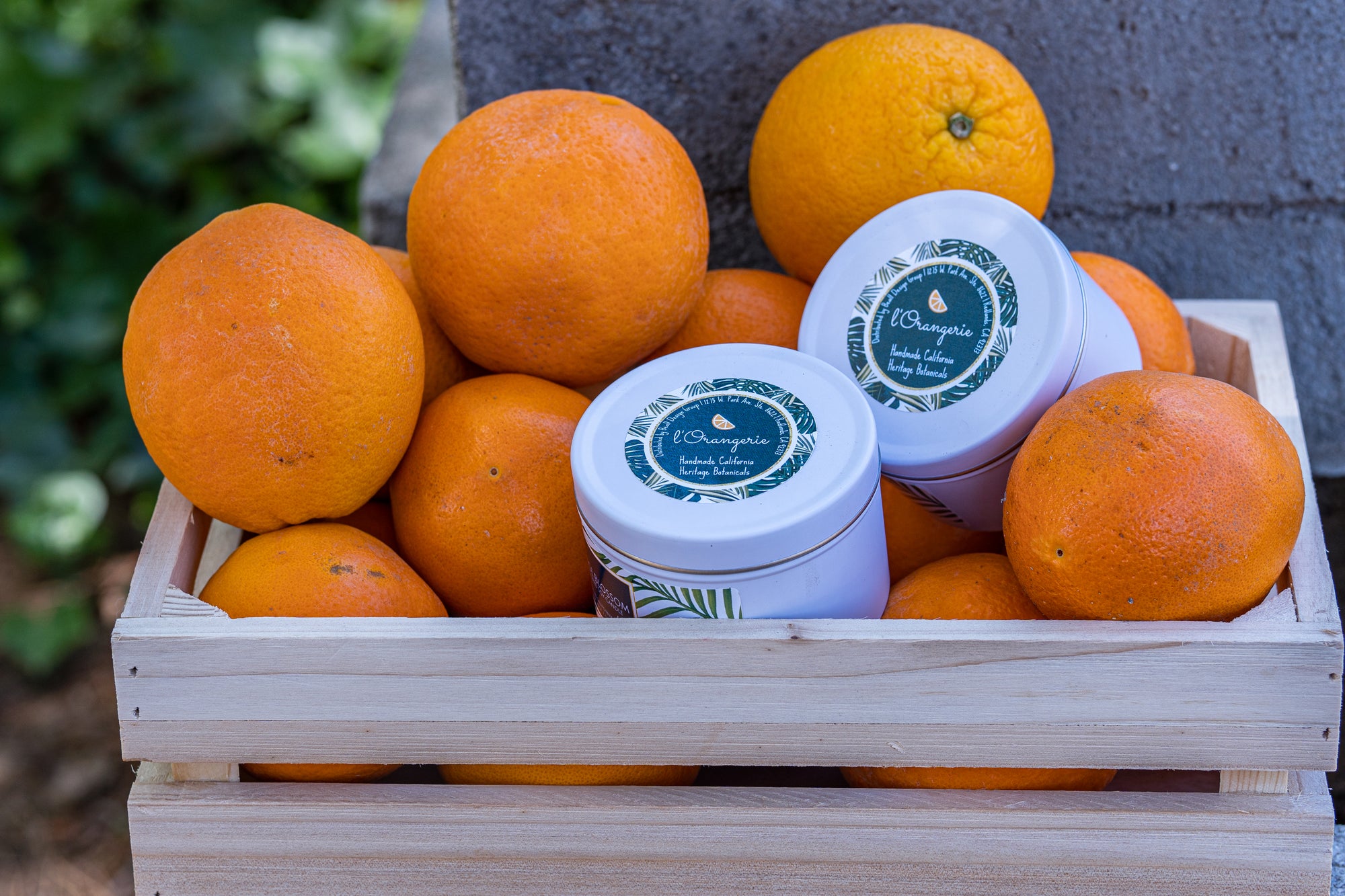 California Garden Candle (7 oz Travel Tin)