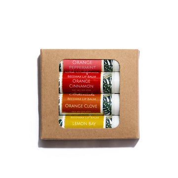 Spiced Variety Beeswax Lip Balm – 4-PACK