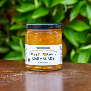 Valencia Orange Marmalade – 11 oz Small-Batch California Citrus Preserve