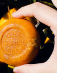 Gill Orange Soap – Gill Orange Soap held against an orange tree – Old California Botanicals