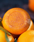Gill Orange Soap – Gill Orange Soap displayed on fresh oranges – Old California Botanicals