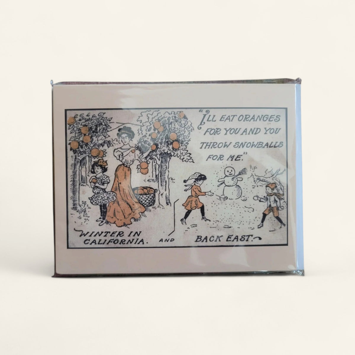 Winter in California Holiday Cards (5 Pack with Envelopes)