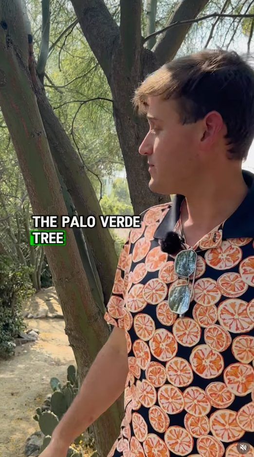 Video from our Instagram