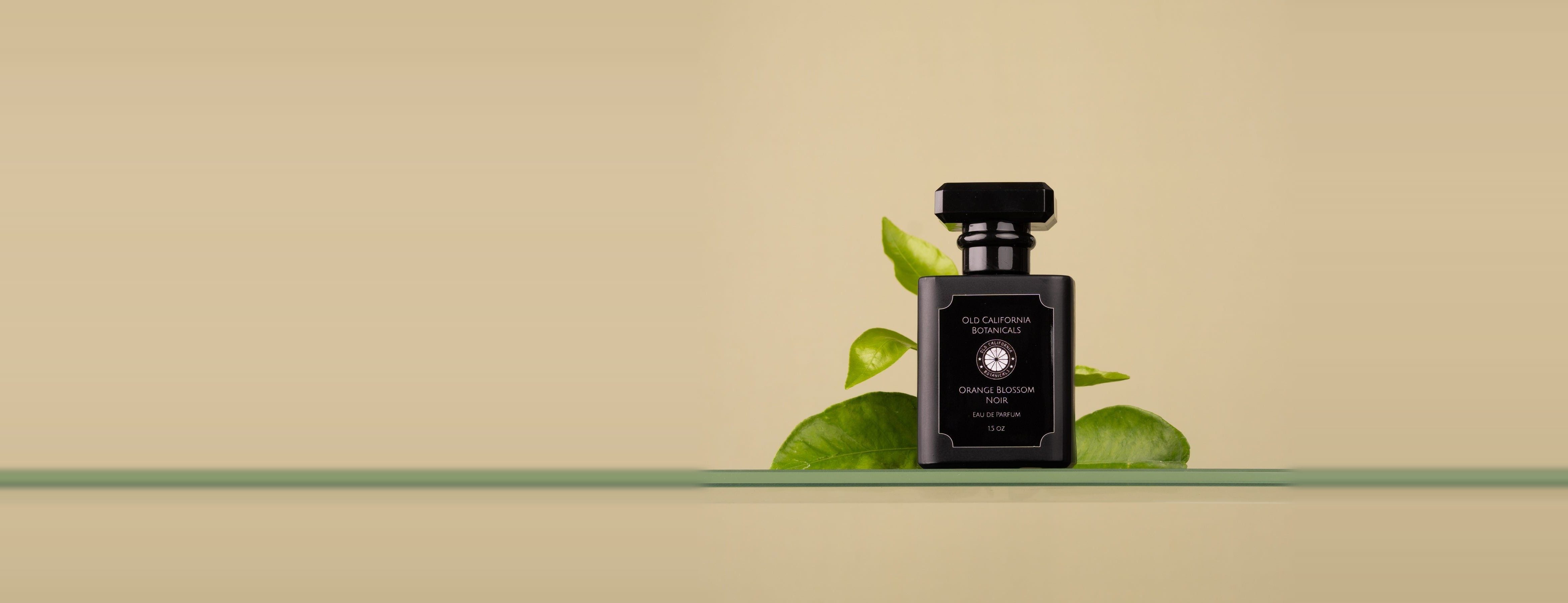 Orange Blossom Noir eau de parfum with citrus leaves